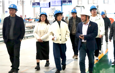 宜賓市經(jīng)合新產(chǎn)局領(lǐng)導(dǎo)來(lái)訪(fǎng)遠(yuǎn)東電纜（宜賓）